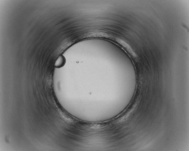 X0000096720841200802051058