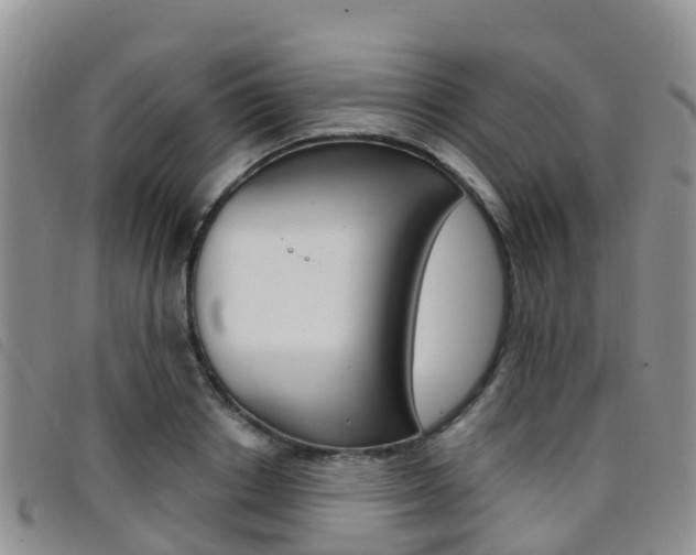 X0000096720842200802051058