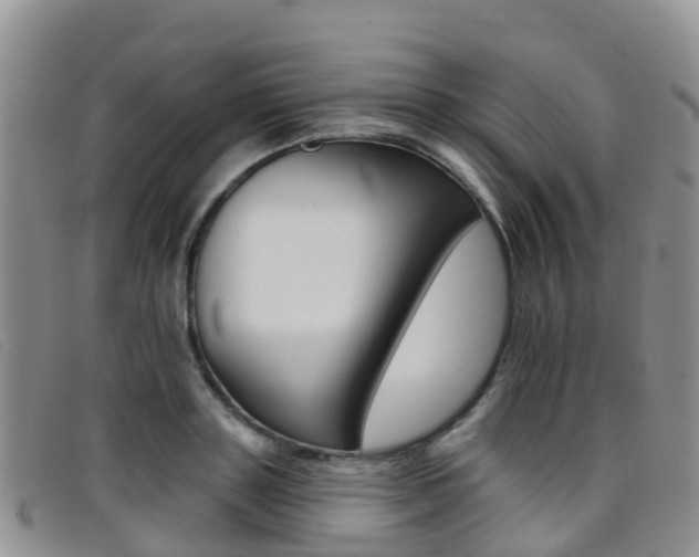 X0000096720843200802051058