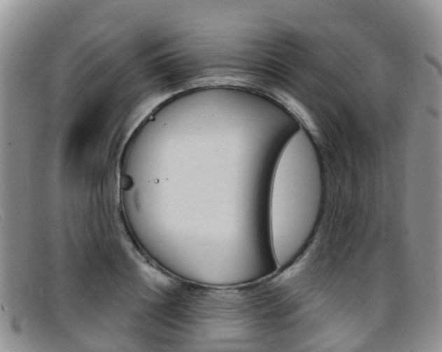 X0000096720844200802051058