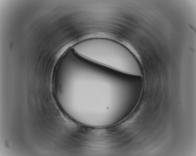 X0000096720845200802051058