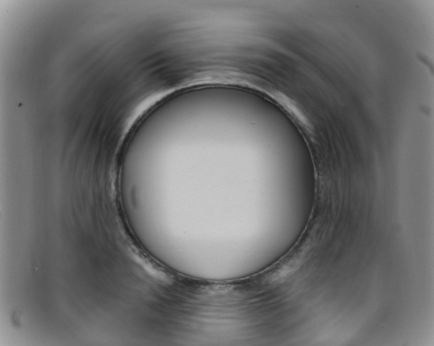 X0000096720846200802051058