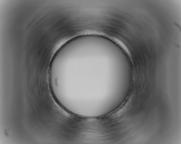X0000096720847200802051058