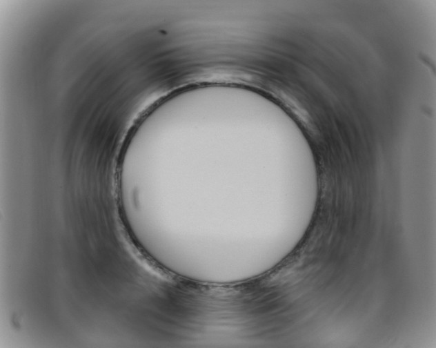 X0000096720848200802051058