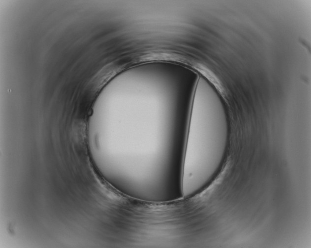 X0000096720849200802051058