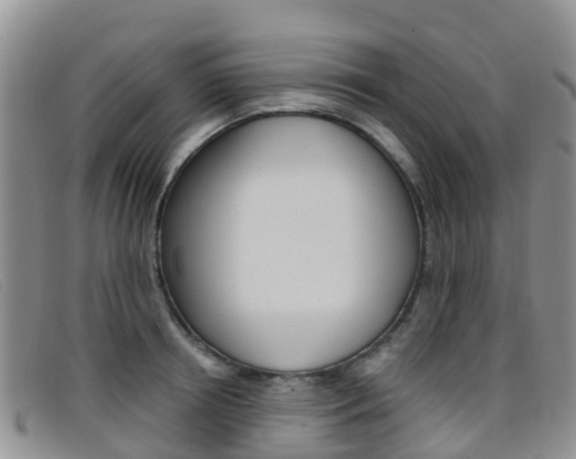 X0000096720850200802051058
