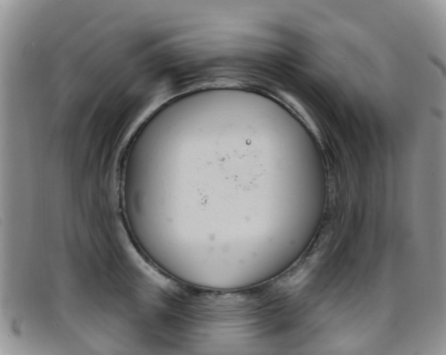 X0000096720851200802051058