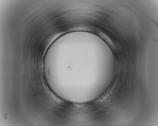 X0000096720852200802051058