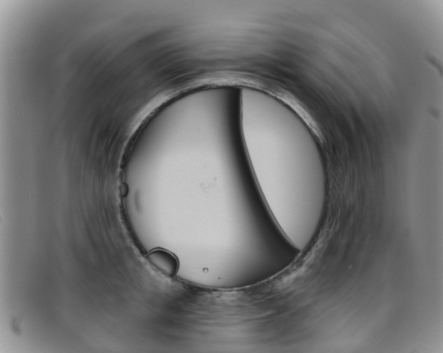 X0000096720853200802051058