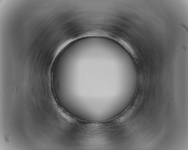 X0000096720854200802051058