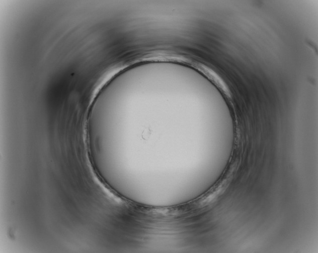 X0000096720855200802051058