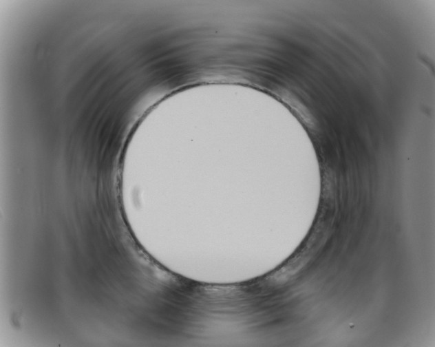 X0000096720856200802051058