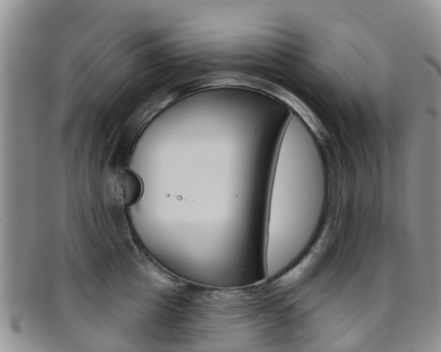 X0000096720857200802051058