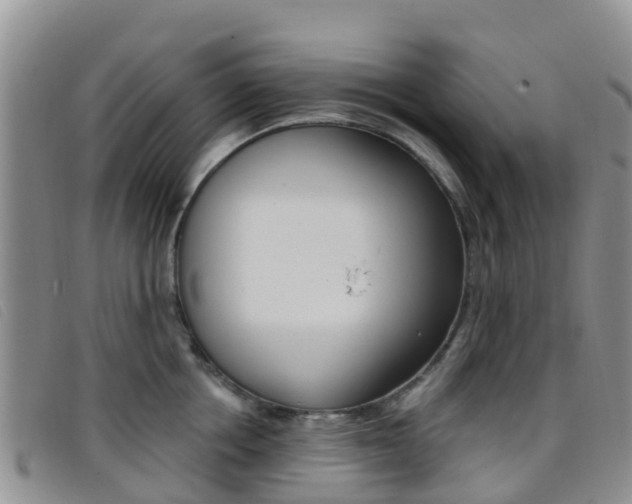 X0000096720858200802051058