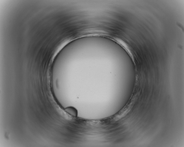 X0000096720859200802051058