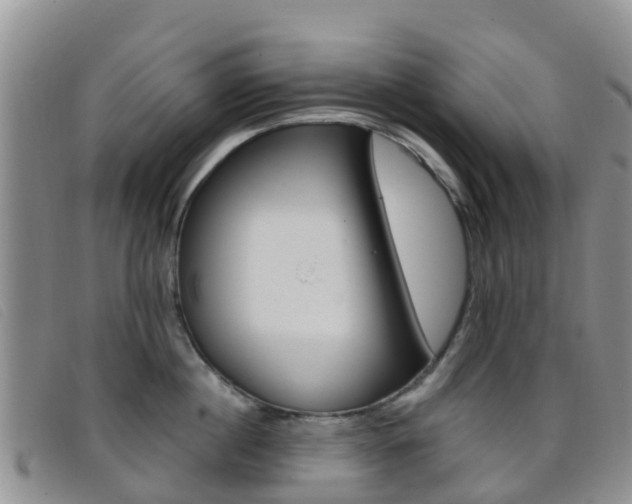 X0000096720860200802051058