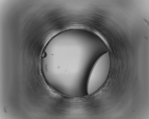 X0000096720861200802051059