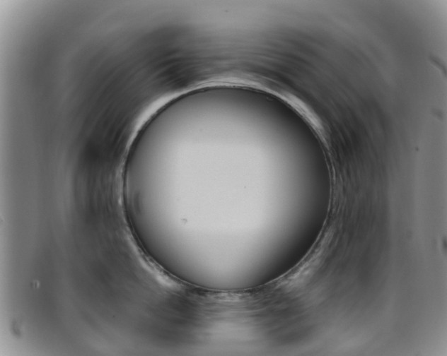 X0000096720862200802051059
