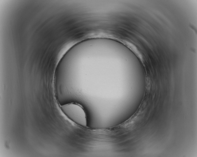 X0000096720863200802051059