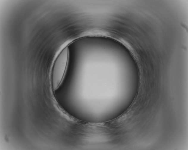 X0000096720864200802051059