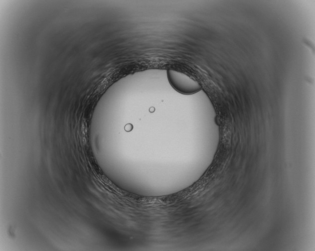 X0000096720866200802051058