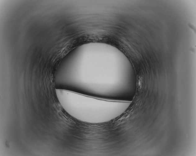 X0000096720867200802051058