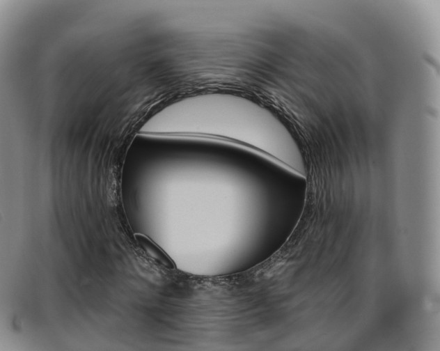 X0000096720868200802051058