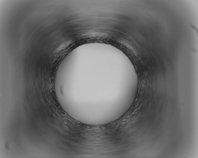 X0000096720869200802051058