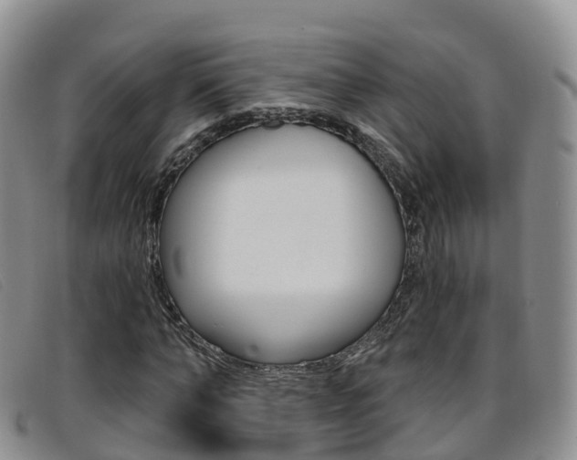 X0000096720870200802051058