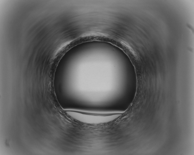 X0000096720872200802051058
