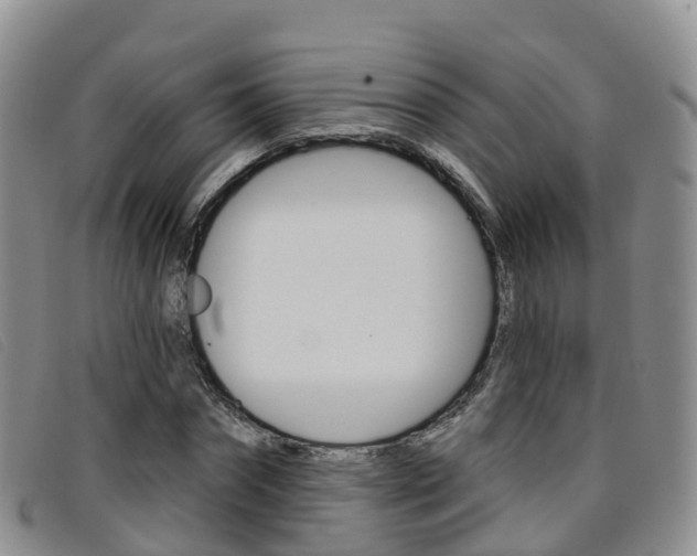 X0000096720874200802051058