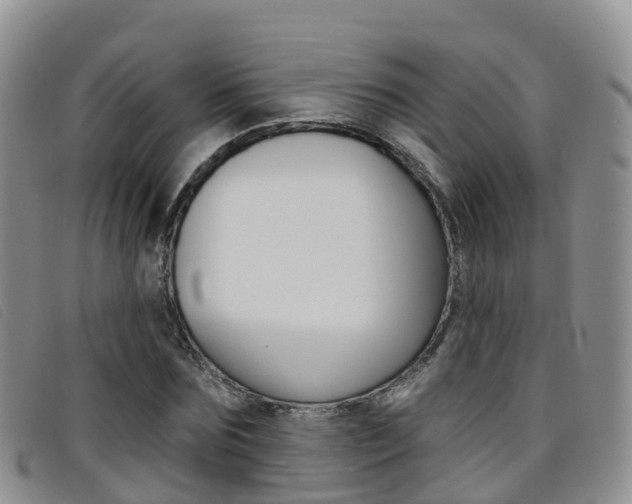 X0000096720875200802051058