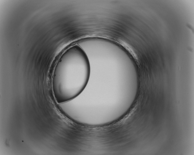 X0000096720876200802051058