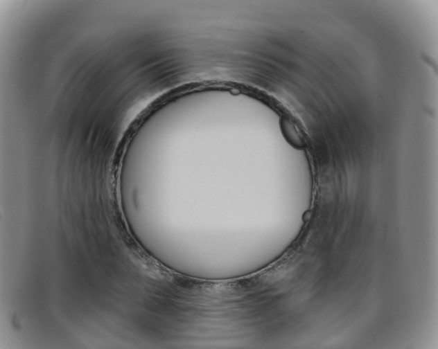 X0000096720879200802051058