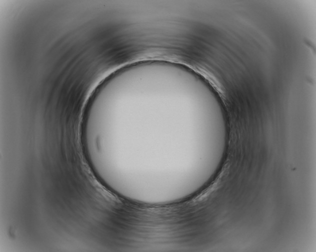 X0000096720880200802051058