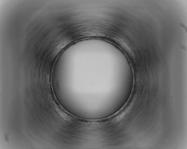 X0000096720881200802051058