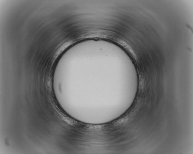 X0000096720882200802051058