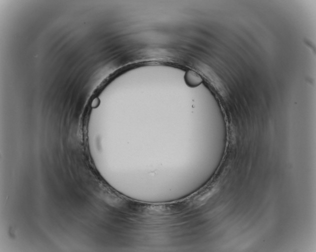X0000096720883200802051058