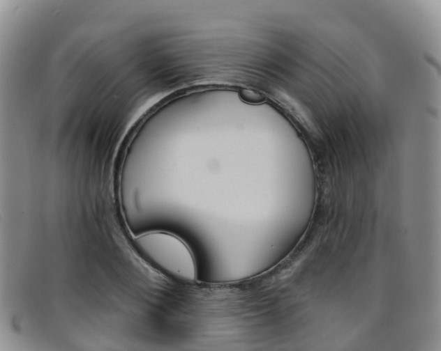 X0000096720884200802051058