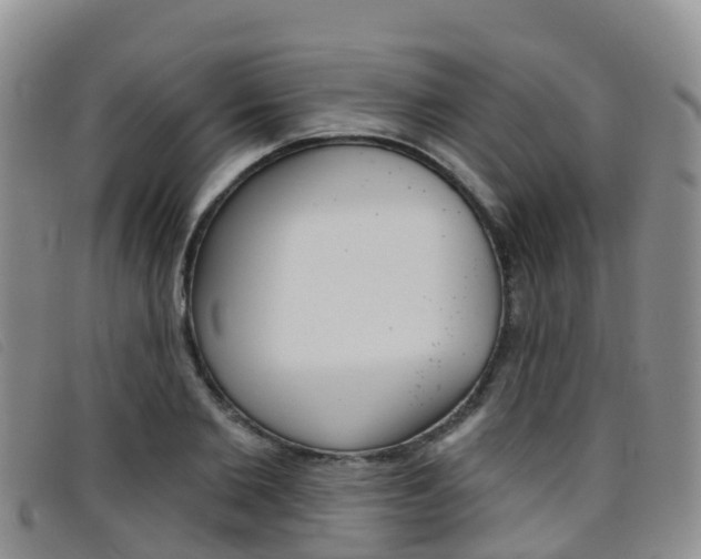 X0000096720885200802051058
