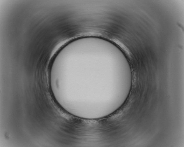 X0000096720886200802051058