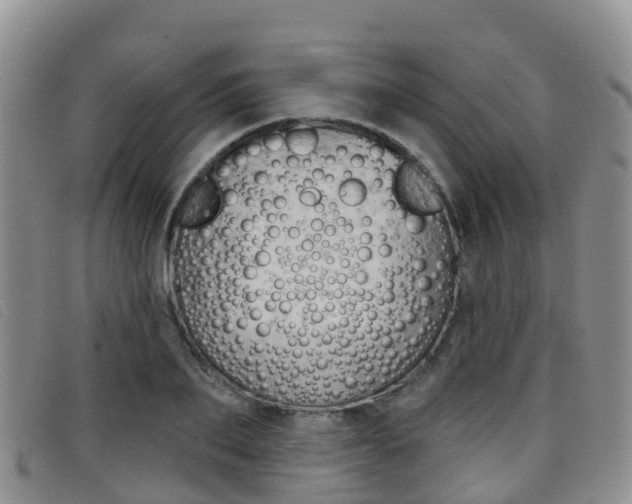 X0000096720887200802051058