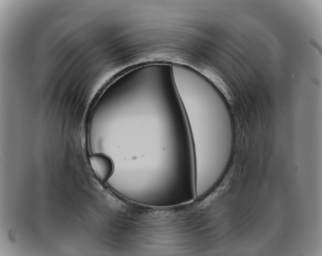 X0000096720888200802051058