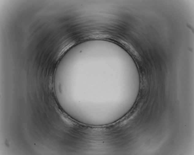 X0000096720889200802051058