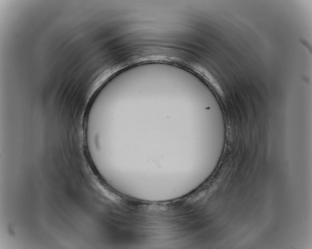 X0000096720890200802051058