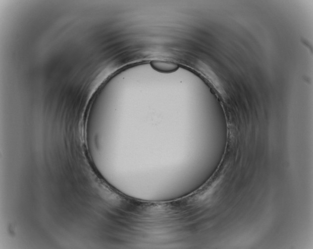 X0000096720891200802051058