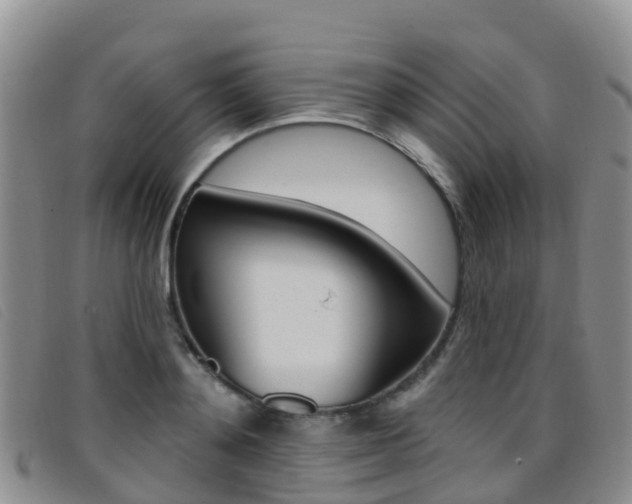 X0000096720892200802051058