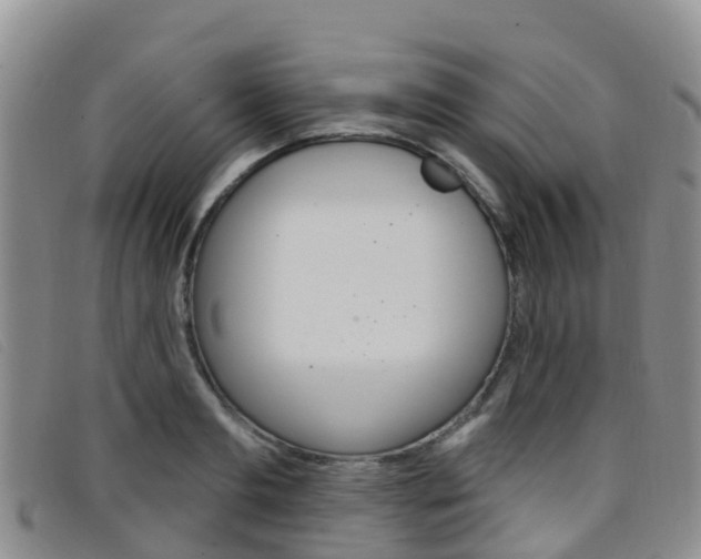 X0000096720893200802051058