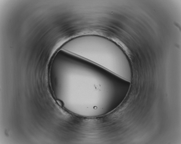 X0000096720894200802051057