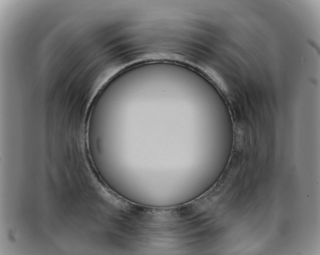 X0000096720895200802051057
